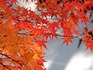 DSCN0891_600.jpg