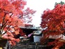 DSCN0898_600.jpg