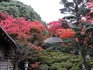 DSCN0927_600.jpg