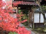 DSCN0928_600.jpg
