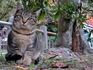 DSCN0948_600.jpg