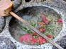 DSCN1023_600.jpg