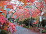 DSCN1031_600.jpg