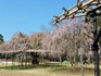 DSCN1124_600.jpg