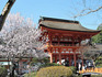 DSCN1145_600.jpg