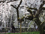 DSCN1169_600.jpg