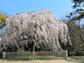 DSCN1177_600.jpg