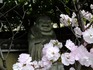 DSCF2729_600.jpg