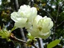 DSCF2734_600.jpg
