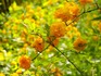 DSCN1400_600.jpg