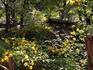 DSCN1418_600.jpg
