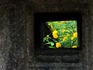 DSCN1434_600.jpg
