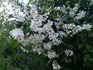 DSC_0038_600.jpg