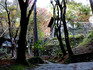 DSCN1591_600.jpg
