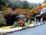 DSCN1602_600.jpg