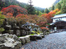 DSCN1615_600.jpg