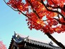 DSCN1690_600.jpg