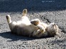 DSCN1709_600.jpg