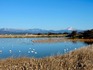 DSCN1809_600.jpg
