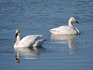 DSCN1812_600.jpg