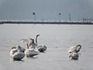 DSCN1869_600.jpg