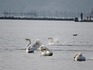 DSCN1877_600.jpg