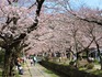 DSCN2070_600.jpg