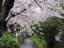 DSCN2097_600.jpg
