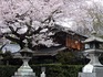 DSCN2133_600.jpg