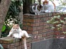 DSCN2121_600.jpg