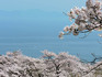 DSCN2461_600.jpg