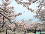 DSCN2522_600.jpg