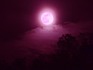 DSCN2567_600.jpg