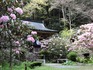 DSCN2597_600.jpg