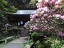 DSCN2609_600.jpg