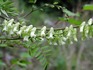 DSCN2996_600.JPG
