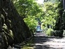 DSCN3062_600.jpg
