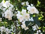 DSCN3078_600.JPG