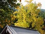 DSCN3934_600.jpg