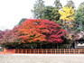 DSCN4072_600.jpg