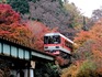 DSCN4233_600.jpg