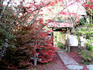 DSCN4264_600.jpg