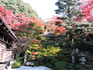 DSCN4265_600.jpg