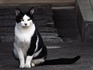 DSCN3982_600.jpg