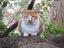 DSCN4314_600.jpg