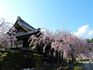 DSCN4711_600.jpg