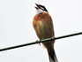 DSCN4829_600.jpg