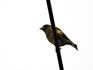 DSCN4891_600.jpg