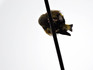 DSCN4892_600.jpg