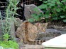DSCN4883_400.jpg